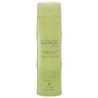 Alterna Bamboo Luminous Shine Shampoo - Альтерна Без сульфатный шампунь для блеска волос с экстрактом бамбука